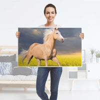 Möbelfolie Wildpferd - IKEA Lack Tisch 90x55 cm - Folie