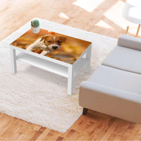 Möbelfolie Jack the Puppy - IKEA Lack Tisch 90x55 cm - Wohnzimmer