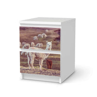 Möbelfolie Pako - IKEA Malm Kommode 2 Schubladen - weiss
