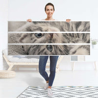 Möbelfolie Kitty the Cat - IKEA Malm Kommode 6 Schubladen (breit) - Folie