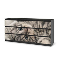 Möbelfolie Kitty the Cat - IKEA Malm Kommode 6 Schubladen (breit) - schwarz