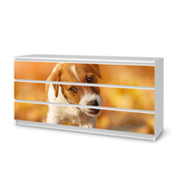 Möbelfolie Jack the Puppy - IKEA Malm Kommode 6 Schubladen (breit) - weiss