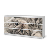 Möbelfolie Kitty the Cat - IKEA Malm Kommode 6 Schubladen (breit) - weiss