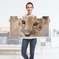 Möbelfolie Simba - IKEA Stuva Banktruhe - Folie