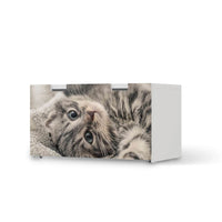 Möbelfolie Kitty the Cat - IKEA Stuva Banktruhe - weiss