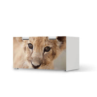 Möbelfolie Simba - IKEA Stuva Banktruhe - weiss