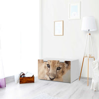 Möbelfolie Simba - IKEA Stuva Banktruhe - Wohnzimmer