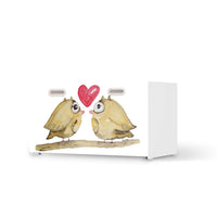 Möbelfolie 2 kleine Eulen - IKEA Stuva / Fritids Bank mit Kasten - weiss