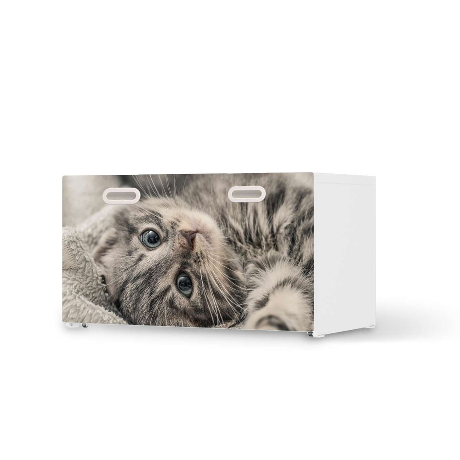 Möbelfolie Kitty the Cat - IKEA Stuva / Fritids Bank mit Kasten  - weiss