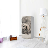 Möbelfolie Kitty the Cat - IKEA Stuva Schrank - 2 große Türen - Wohnzimmer