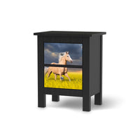 Selbstklebende Folie Wildpferd - IKEA Hemnes Kommode 2 Schubladen - schwarz