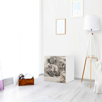 Selbstklebende Folie Kitty the Cat - IKEA Stuva / Fritids Schrank - 2 kleine Türen - Kinderzimmer