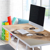 Tischfolie Simba - Tisch 160x80 cm - Schreibtisch