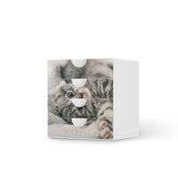 Klebefolie Kitty the Cat - IKEA Smastad Kommode - 4 Schubladen  - weiss