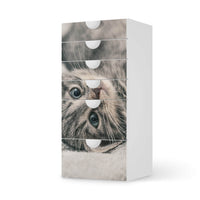 Klebefolie für Möbel Kitty the Cat - IKEA Smastad Kommode - 6 Schubladen  - weiss