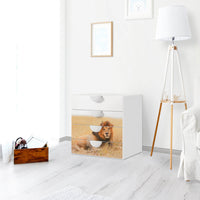 Klebefolie Lion King - IKEA Smastad Kommode - 4 Schubladen - Kinderzimmer