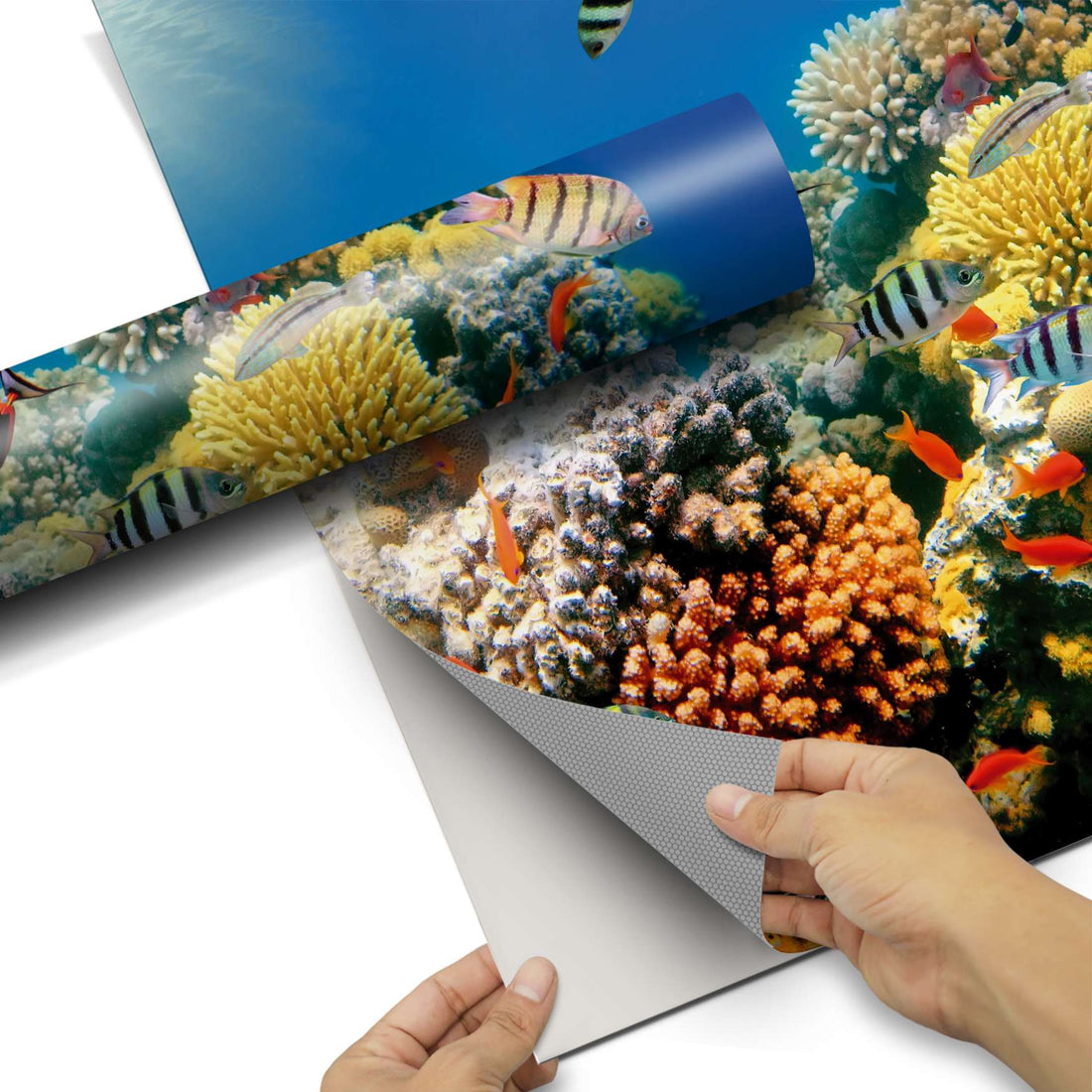 Kühlschrank Folie Coral Reef Kühlschrank 60x120 cm - Folie pds1