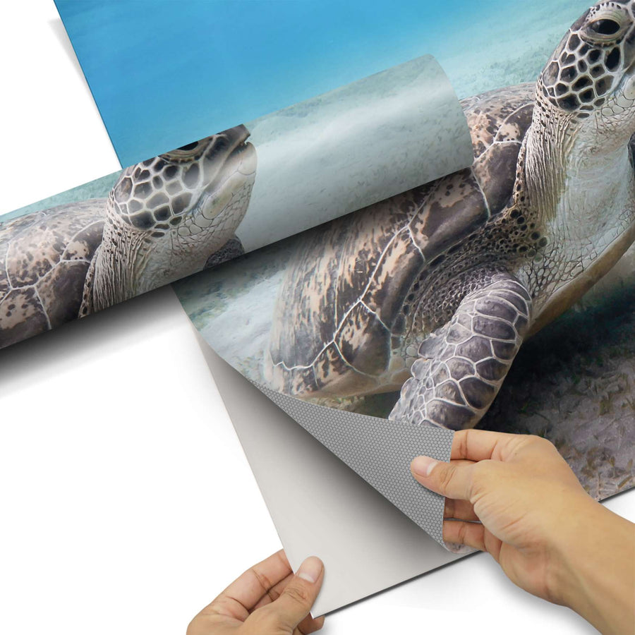 Dekorfolie Green Sea Turtle - Do-it-yourself - creatisto pds1