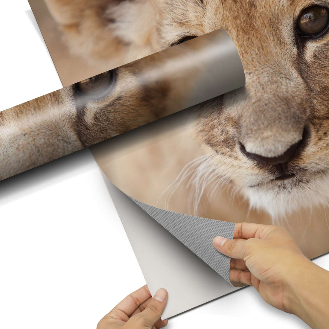 Kühlschrank Folie Simba Kühlschrank 60x80 cm - Folie pds1