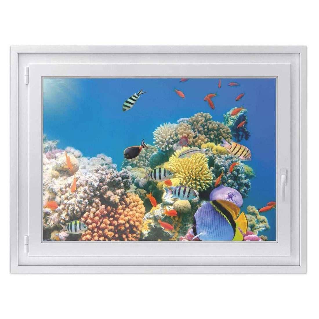 Fensterfolie [quer] -Coral Reef- Größe: 100x70 cm