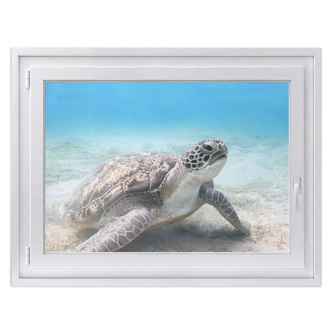 Fensterfolie [quer] - Green Sea Turtle – creatisto