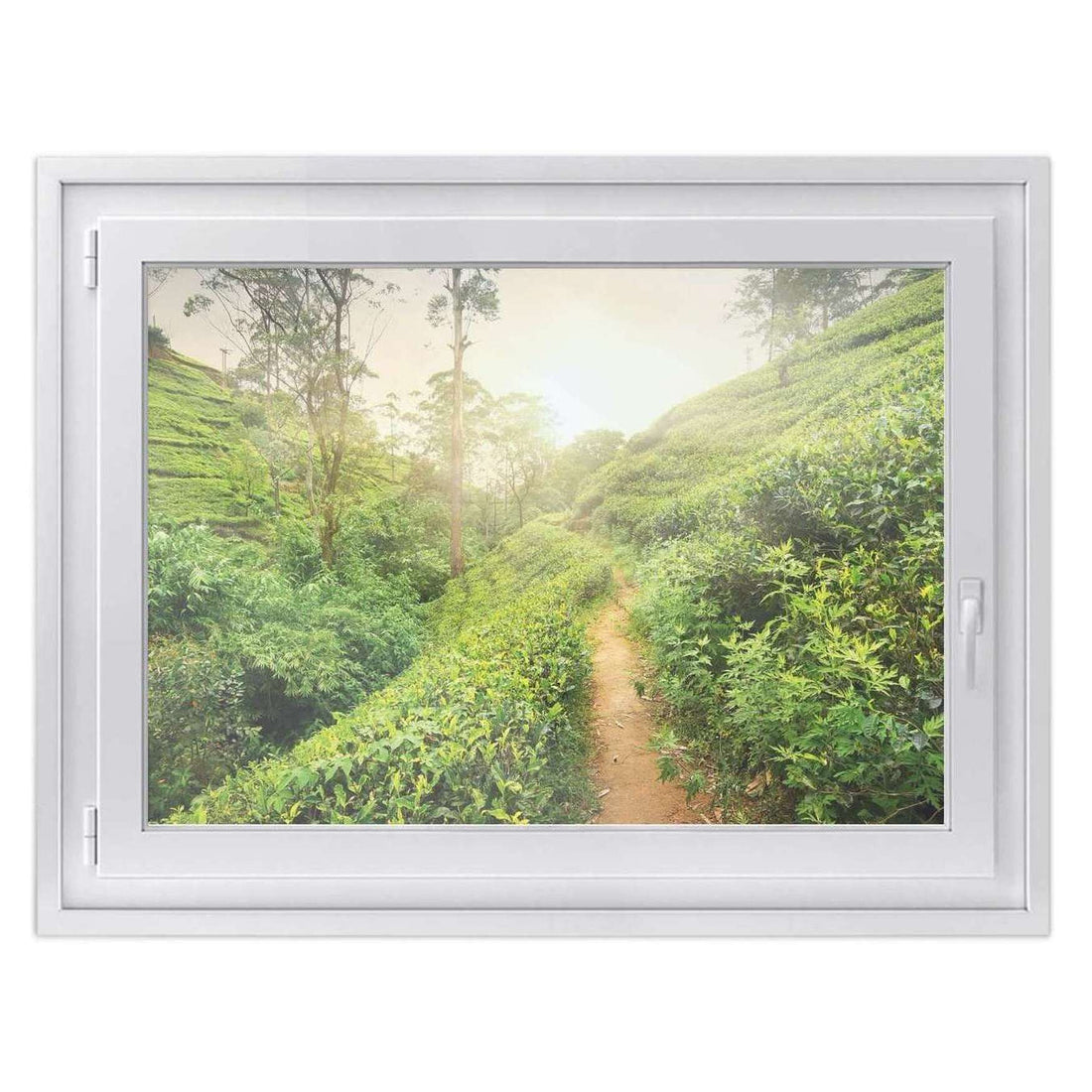 Fensterfolie [quer] -Green Tea Fields- Größe: 100x70 cm