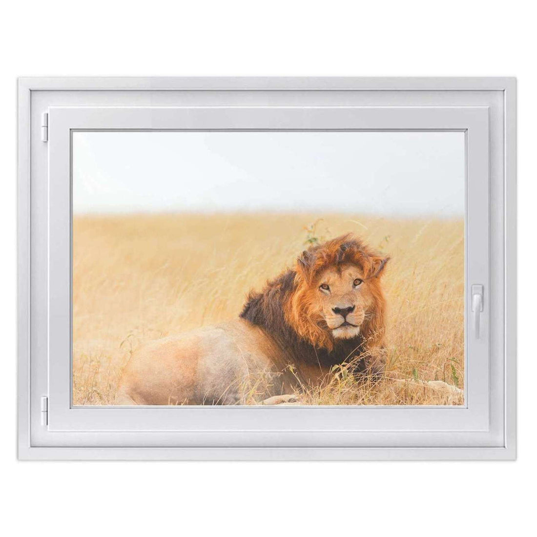 Fensterfolie [quer] -Lion King- Größe: 100x70 cm