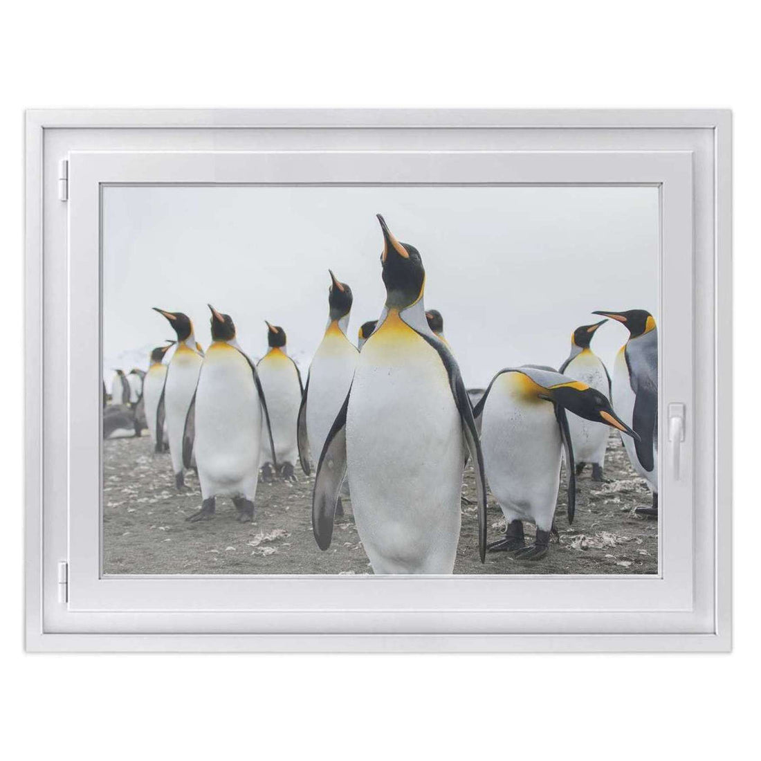 Fensterfolie [quer] -Penguin Family- Größe: 100x70 cm
