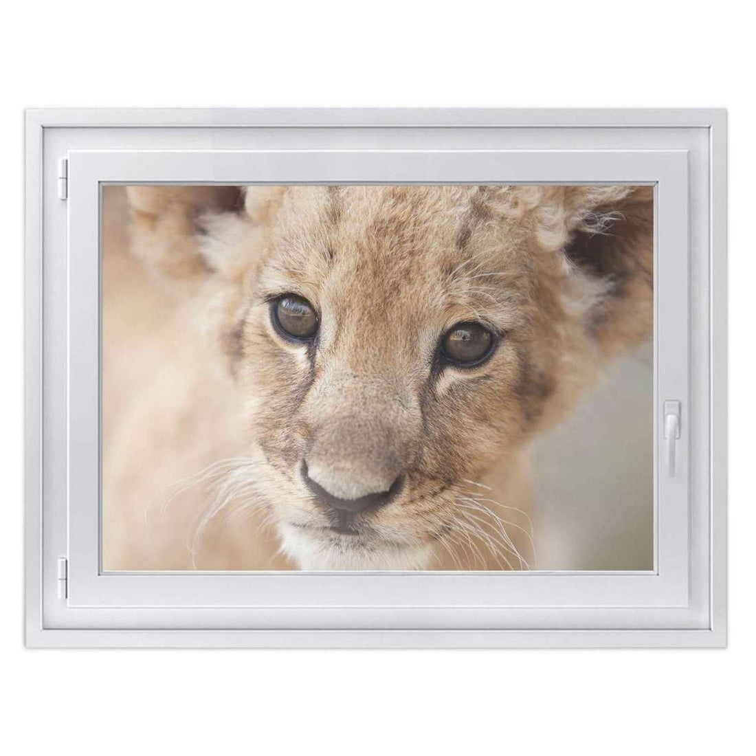 Fensterfolie [quer] -Simba- Größe: 100x70 cm