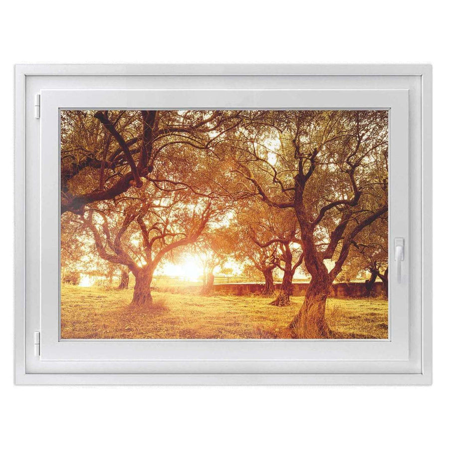 Fensterfolie [quer] -Tree Sunlight- Größe: 100x70 cm