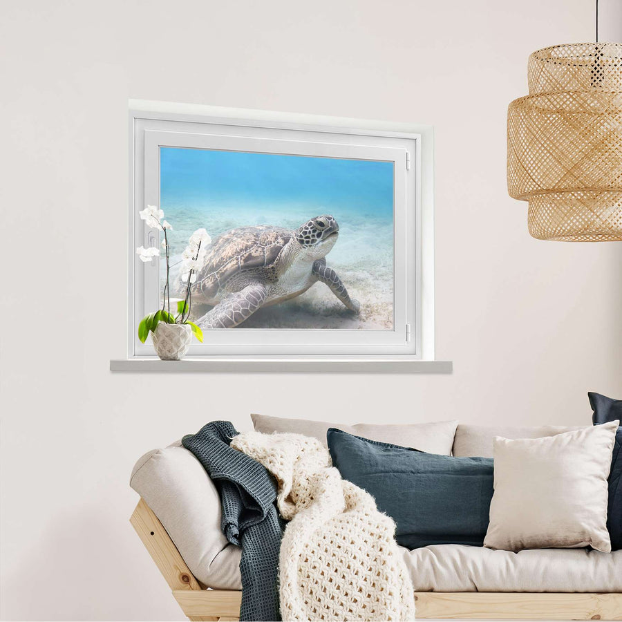 Fensterfolie [quer] Green Sea Turtle  - Wohnzimmer100cm x 70cm