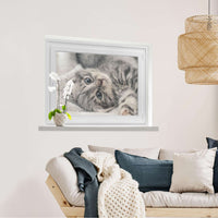 Fensterfolie [quer] Kitty the Cat  - Wohnzimmer100cm x 70cm