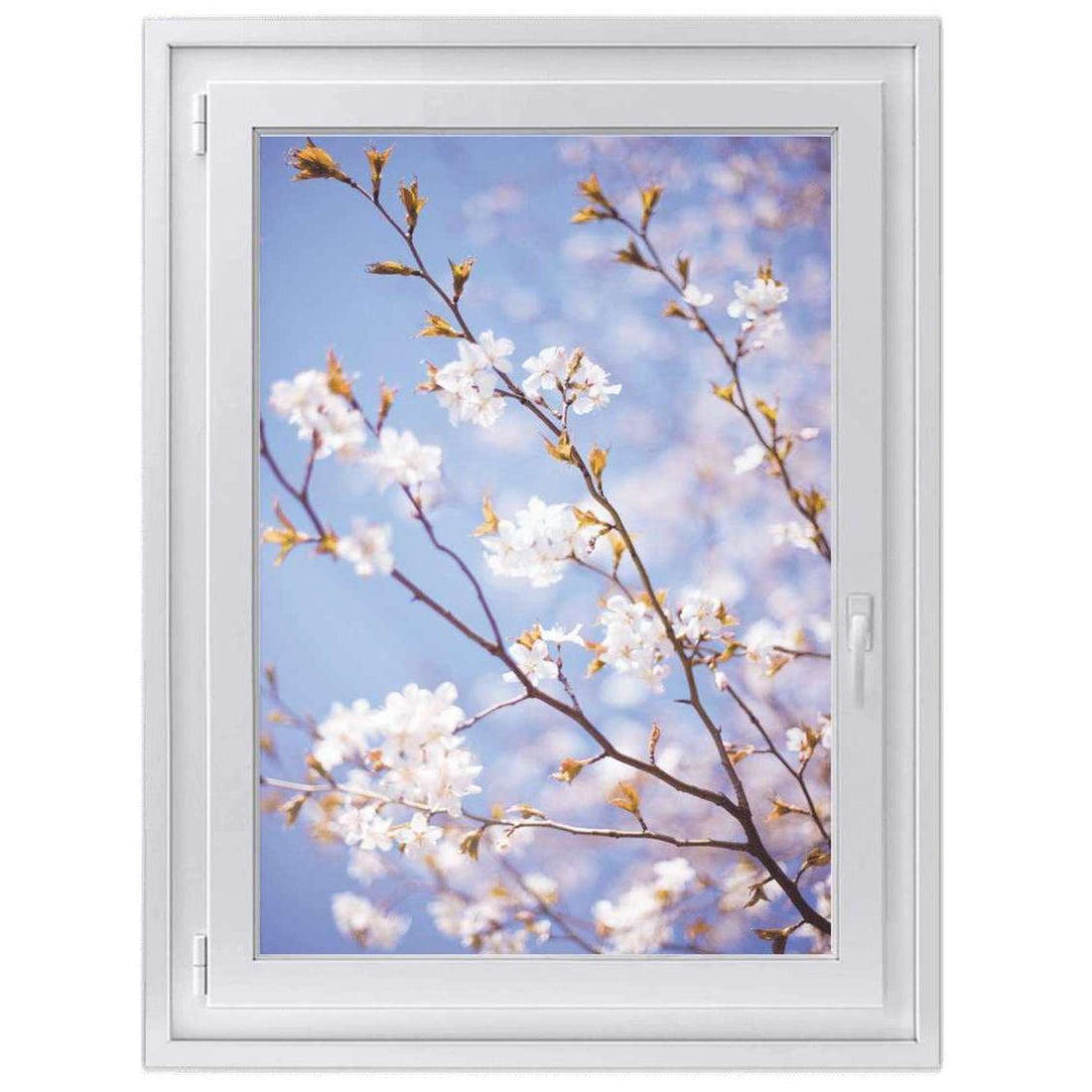 Fensterfolie [hoch] -Apple Blossoms- Größe: 70x100 cm