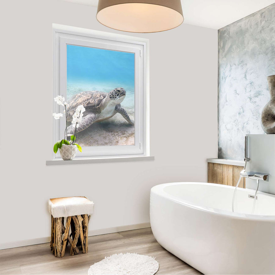Fensterfolie [hoch] - Green Sea Turtle - 70x100 cm - Bad