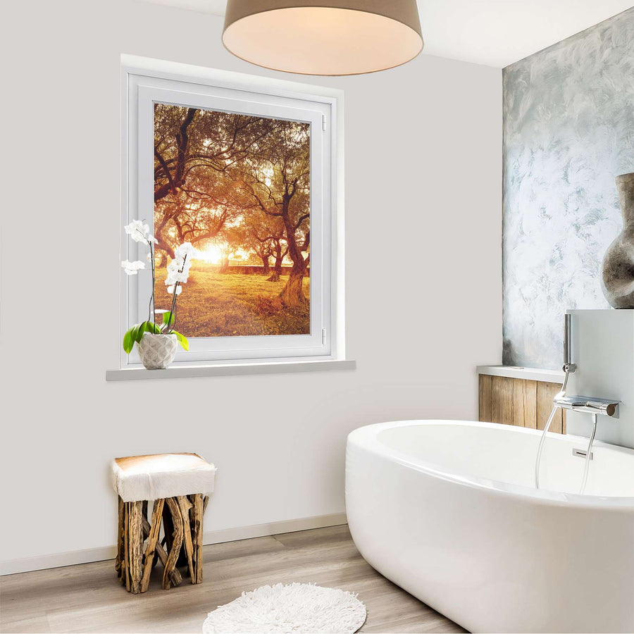 Fensterfolie [hoch] - Tree Sunlight - 70x100 cm - Bad