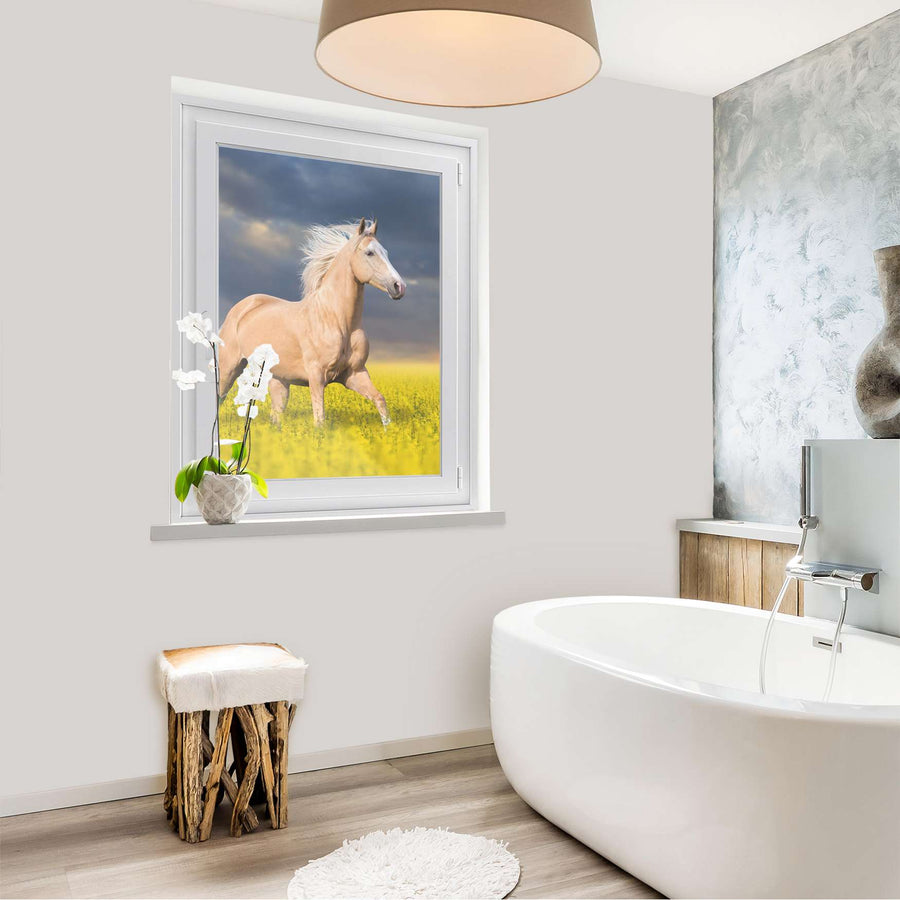Fensterfolie [hoch] - Wildpferd - 70x100 cm - Bad