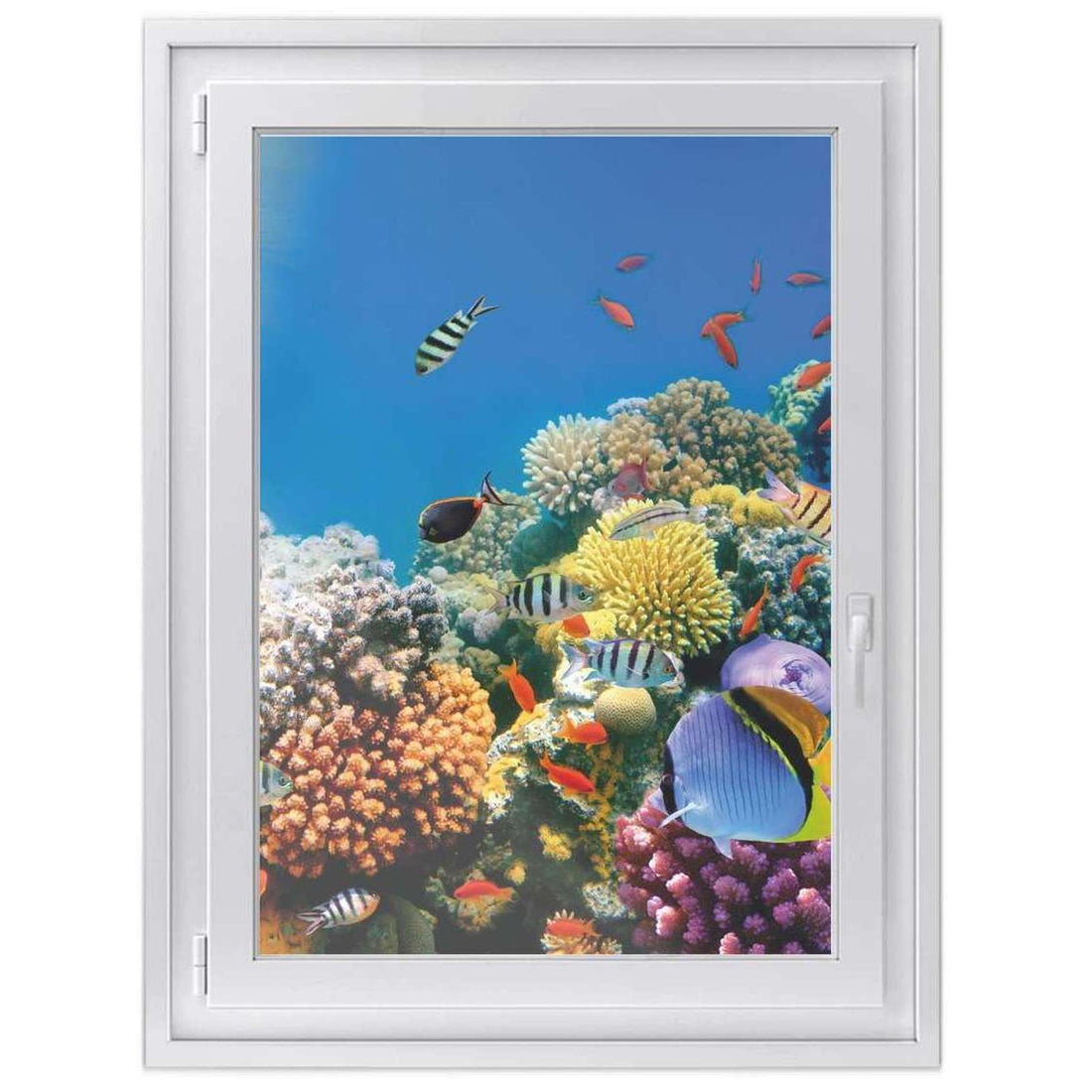Fensterfolie [hoch] -Coral Reef- Größe: 70x100 cm
