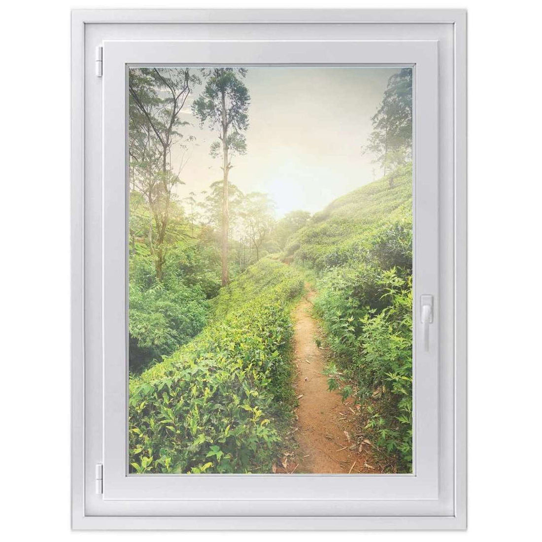 Fensterfolie [hoch] -Green Tea Fields- Größe: 70x100 cm