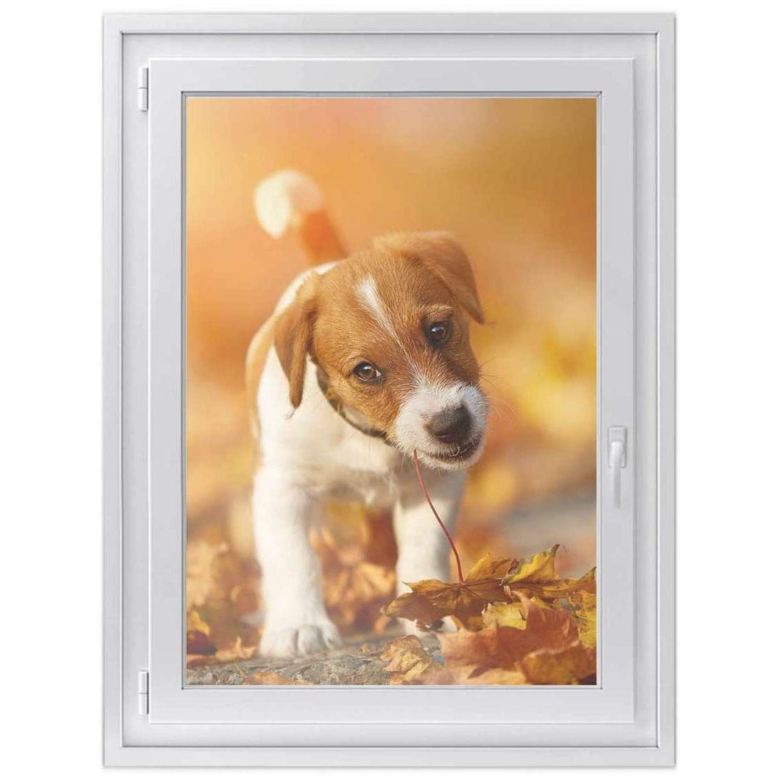 Fensterfolie [hoch] -Jack the Puppy- Größe: 70x100 cm
