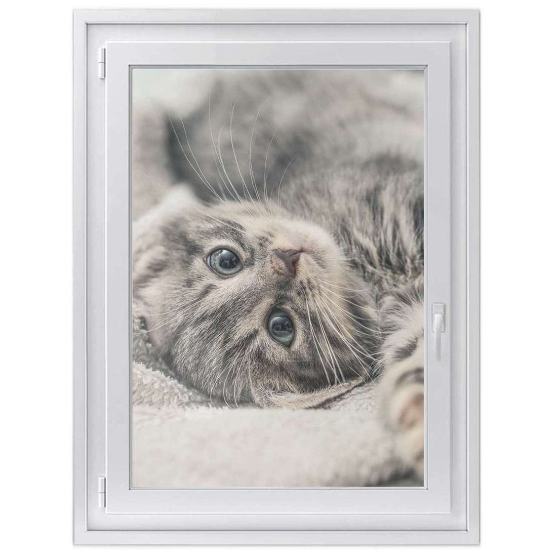 Fensterfolie [hoch] -Kitty the Cat- Größe: 70x100 cm