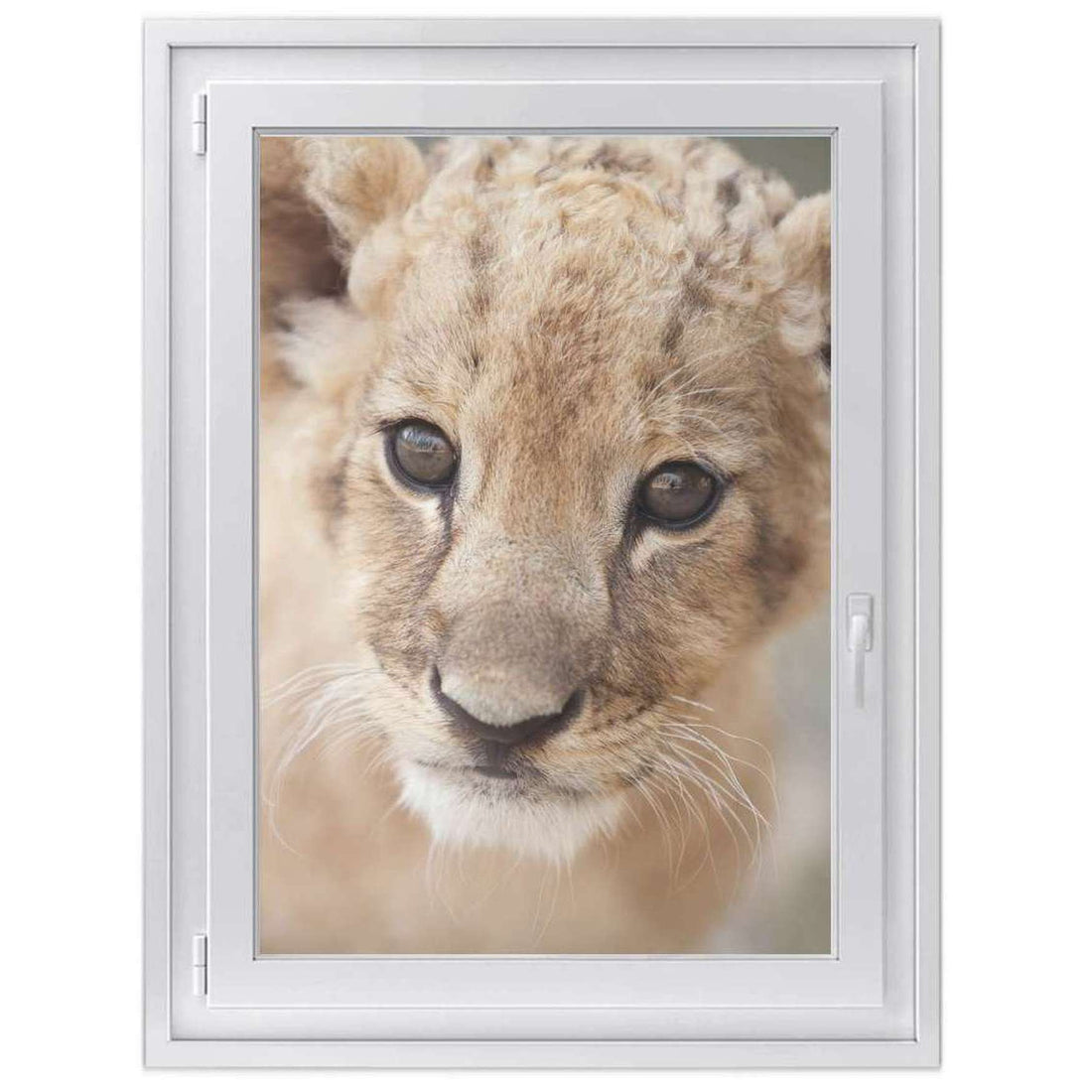 Fensterfolie [hoch] -Simba- Größe: 70x100 cm