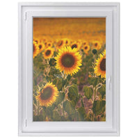 Fensterfolie [hoch] -Sunflowers- Größe: 70x100 cm