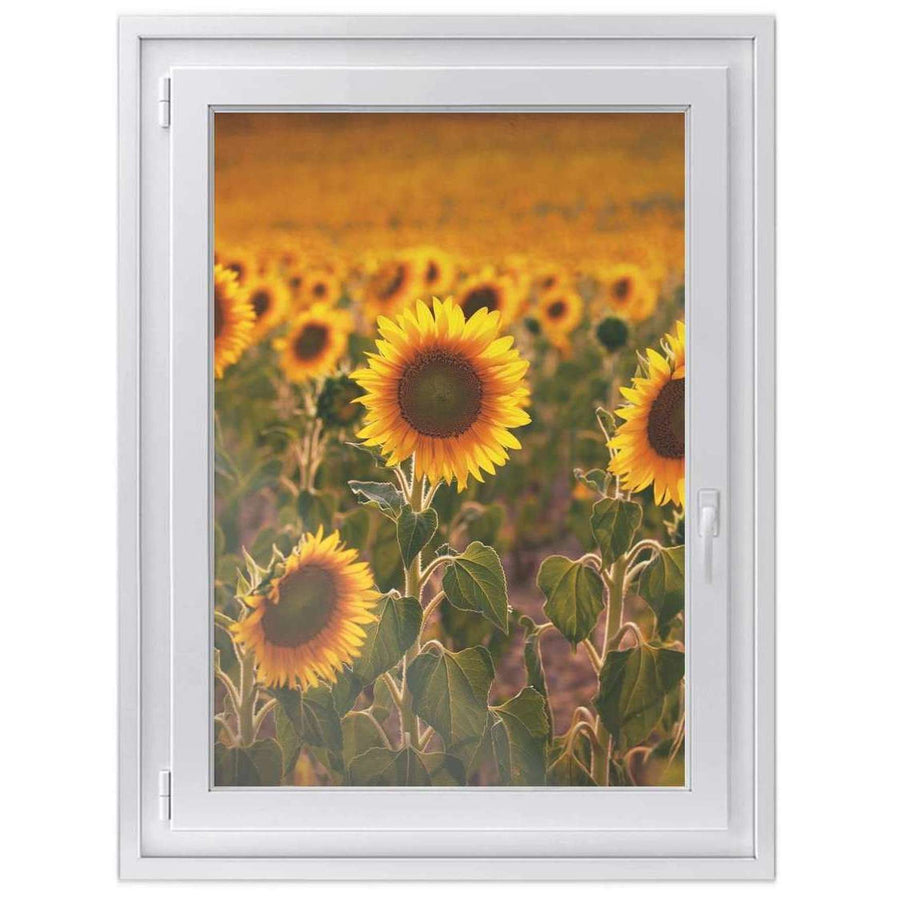 Fensterfolie [hoch] -Sunflowers- Größe: 70x100 cm
