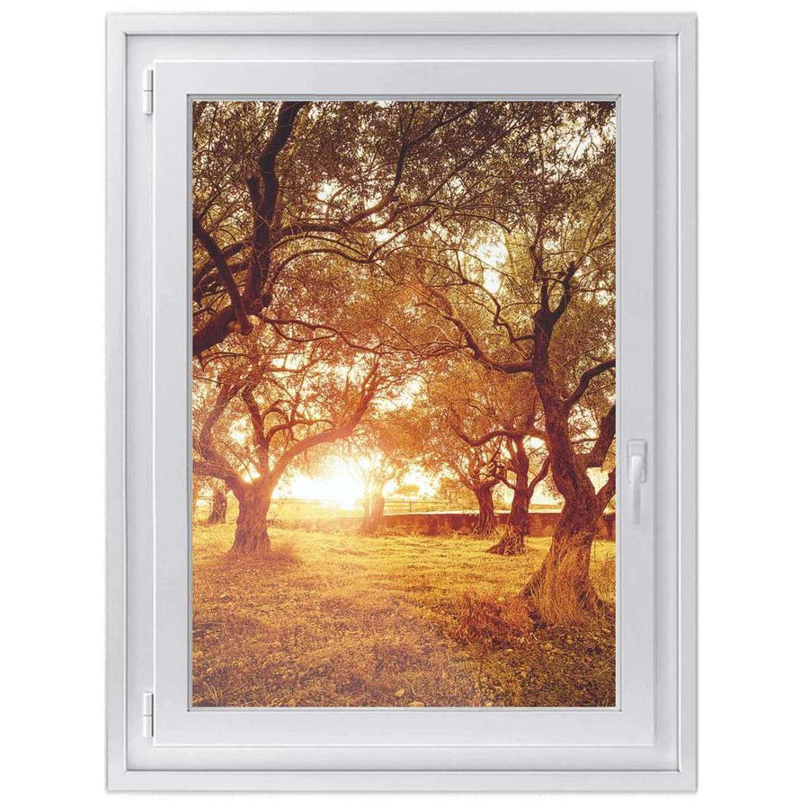 Fensterfolie [hoch] -Tree Sunlight- Größe: 70x100 cm