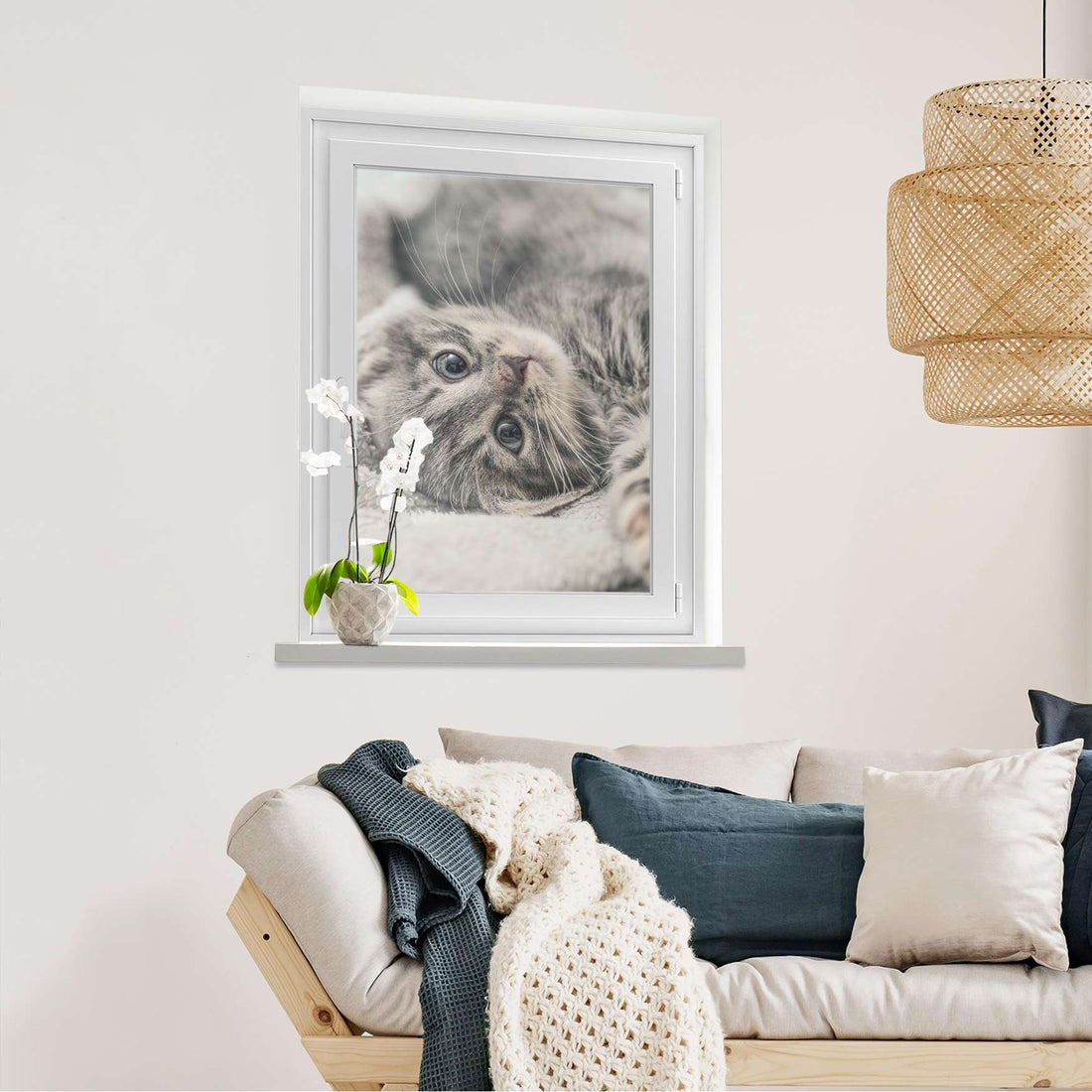 Fensterfolie [hoch] Kitty the Cat  - Wohnzimmer70cm x 100cm