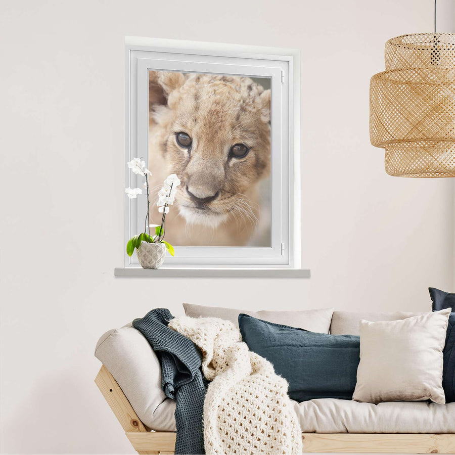Fensterfolie [hoch] Simba  - Wohnzimmer70cm x 100cm