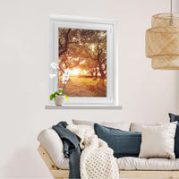 Fensterfolie [hoch] Tree Sunlight  - Wohnzimmer70cm x 100cm