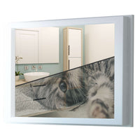 Fensterfolie [quer] - Kitty the Cat - 100x70 cm - Transparenz