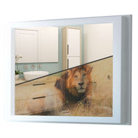 Fensterfolie [quer] - Lion King - 100x70 cm - Transparenz