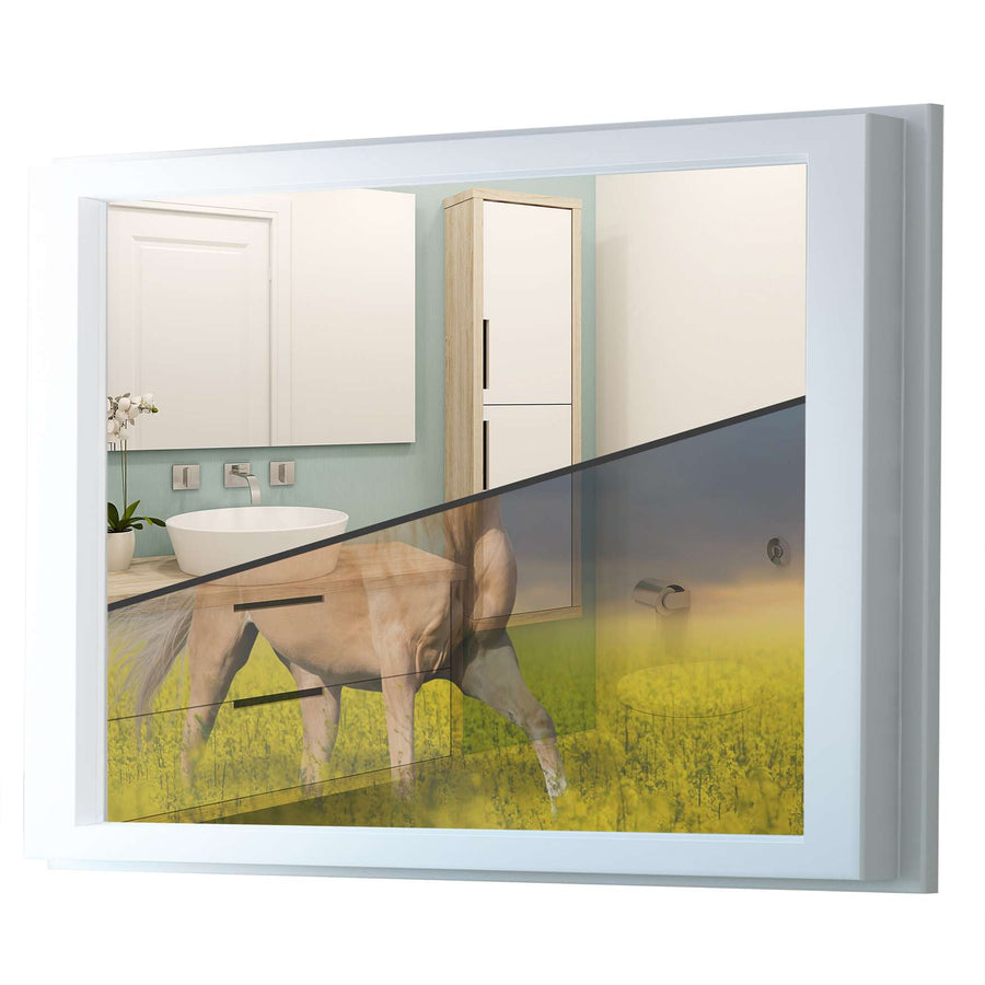 Fensterfolie [quer] - Wildpferd - 100x70 cm - Transparenz